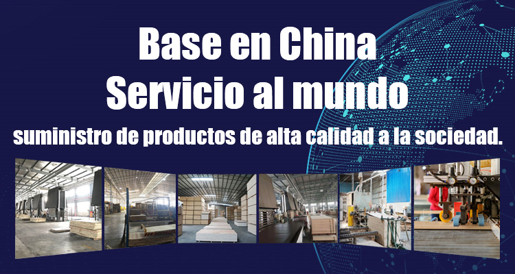 Base en China, servicio al mundo Suministro de productos de alta calidad a la sociedad