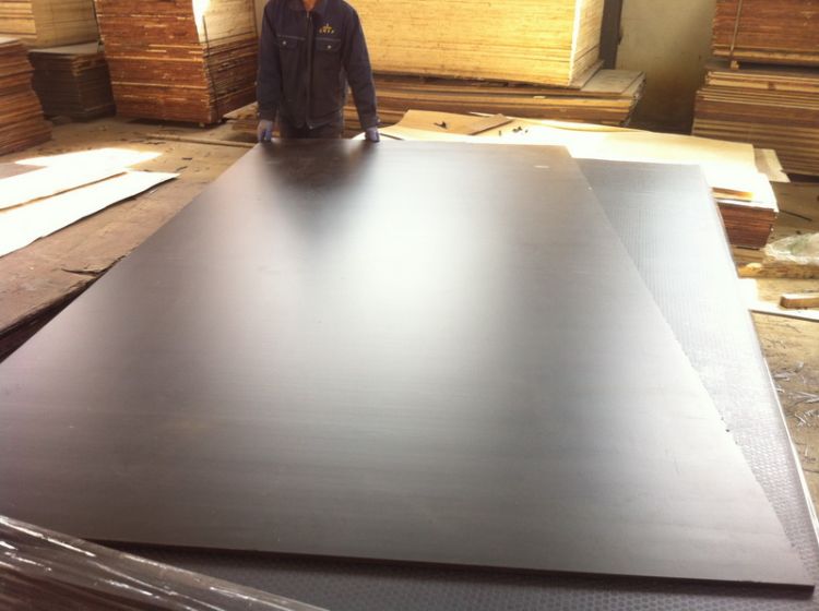 IMG_0483.jpg IMG_0483.jpg