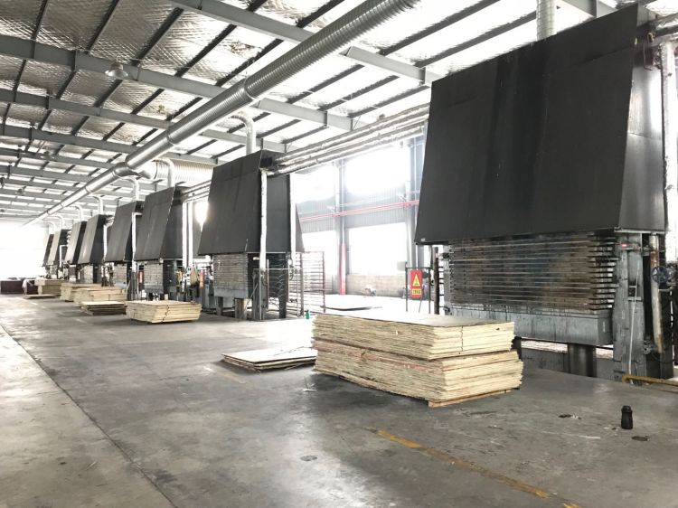 车间2.jpg 车间2.jpg