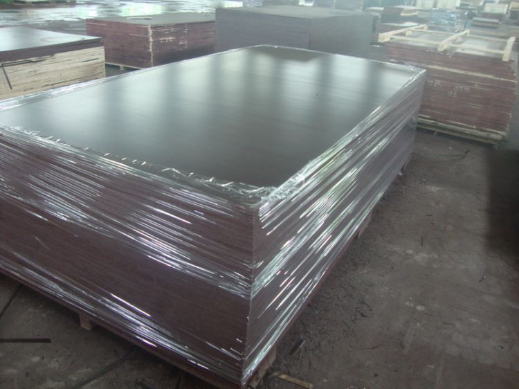 DSC07328.jpg DSC07328.jpg