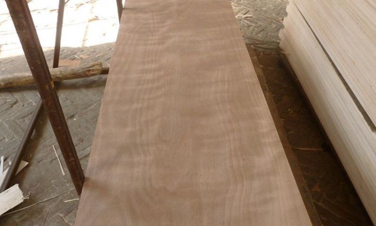 Door Skin Plywood