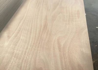 Door skin plywood Poplar Core Radiata Pine Face Commercial Plywood At Wholesale Price