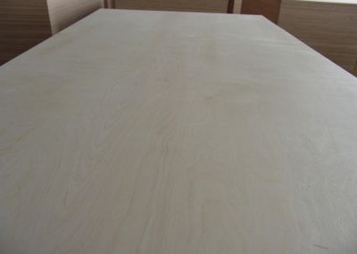 Birch Plywood